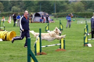 Toby flying over a jump